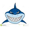 cShark