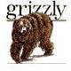 grizzly3